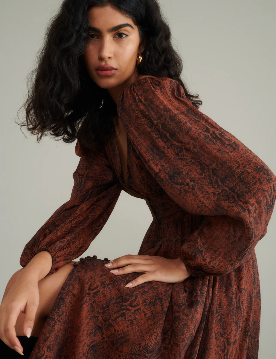 Snake Print Aine Midi Dress - Image 2
